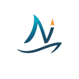 Navi Net Group Logo