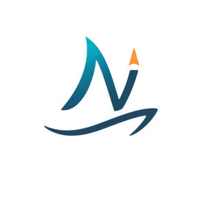 Navi Net Group Logo
